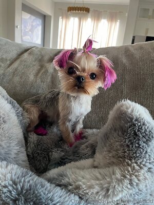 belicenasworld Nude Leaked Photo #40