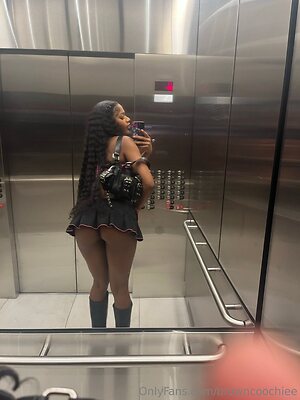 browncoochiee Nude Leaked Photo #5