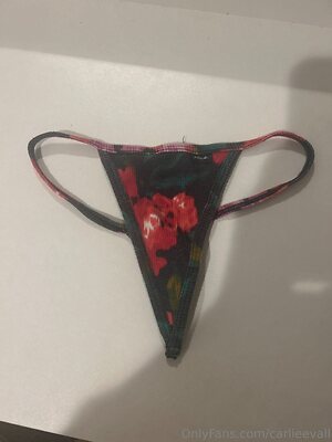 carlieevall Nude Leaked Photo #2