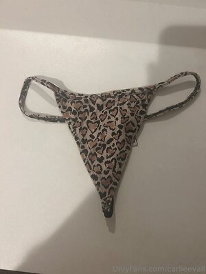 carlieevall Nude Leaked Photo #3