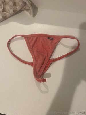 carlieevall Nude Leaked Photo #4