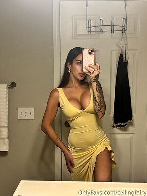 ceilingfairy Nude Leaked Photo #4