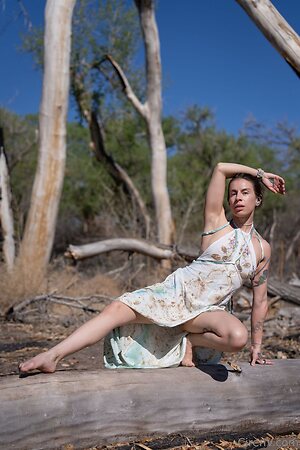 cirenv Nude Leaked Photo #11