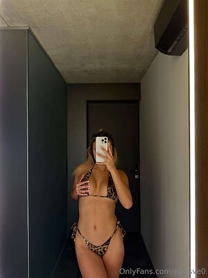 elsasve0