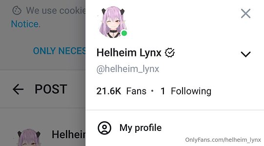 helheim lynx Nude Leaked Photo #7