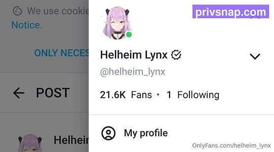 helheim lynx Nude Leaked Photo #30