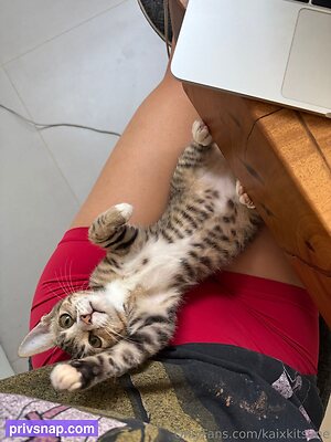 kaixkitsune Nude Leaked Photo #35