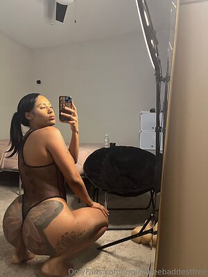 katttrapfree